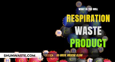 Cellular Respiration's Hidden Waste: Unveiling the Byproduct of Energy Production