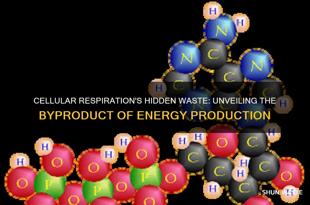 what is the cell respiration waste product