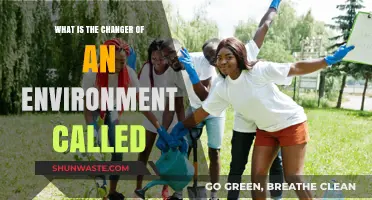 Understanding the Role of an Environmental Changer: Key Definitions and Insights