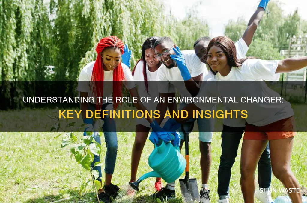 what is the changer of an environment called