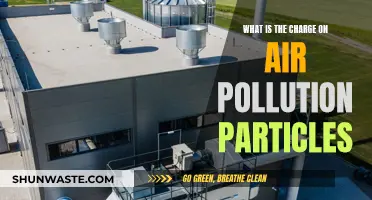 Air Pollution: The Electric Charge of Particles