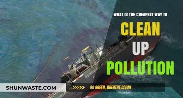Affordable Ways to Clean Up Pollution