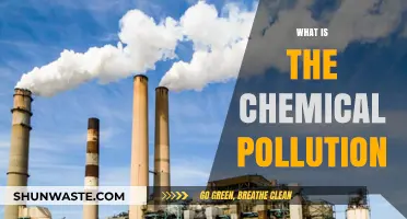 The Chemical Pollution Crisis