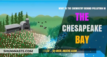 Chesapeake Bay Pollution: Chemistry's Role and Impact