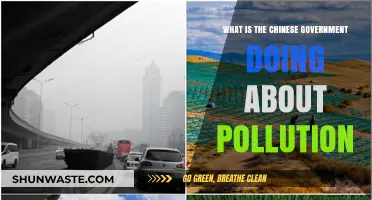 China's Pollution: Government Initiatives and Interventions