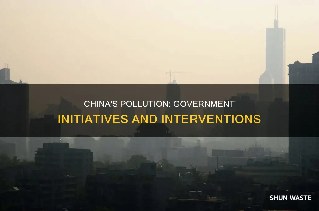 what is the chinese government doing about pollution