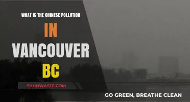 Vancouver's Air: Chinese Pollution's Impact