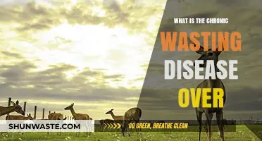 Understanding Chronic Wasting Disease: Causes, Symptoms, and Prevention Strategies