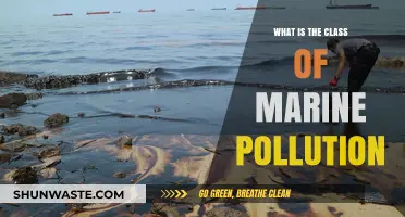 Understanding Marine Pollution: Classes and Categories