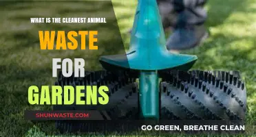 Eco-Friendly Gardening: Discover the Cleanest Animal Waste for Your Garden