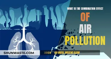 Air Pollution's Complex Web of Harmful Effects