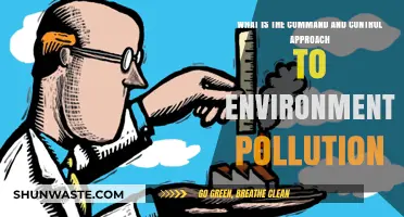 Command and Control: Pollution's Regulatory Approach