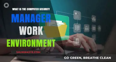 Exploring the Computer Security Manager's Work Environment and Daily Responsibilities