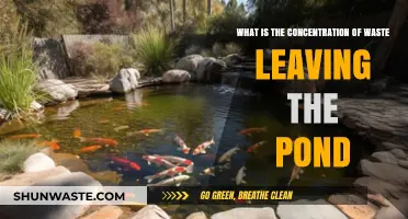 Understanding Waste Concentration in Pond Outflow: Key Insights and Analysis