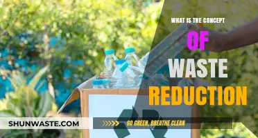 Understanding Waste Reduction: Strategies for a Sustainable, Eco-Friendly Lifestyle