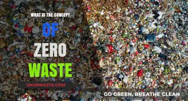 Understanding Zero Waste: A Sustainable Lifestyle for a Greener Future