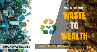 Transforming Trash into Treasure: Understanding the Waste to Wealth Concept