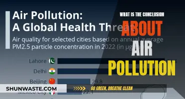 Air Pollution: The Conclusion and Future Outlook