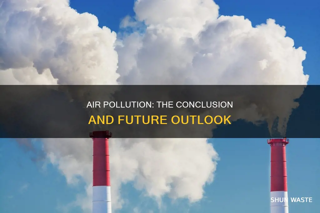 what is the conclusion about air pollution