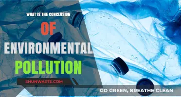 Environmental Pollution: A Bleak Future?