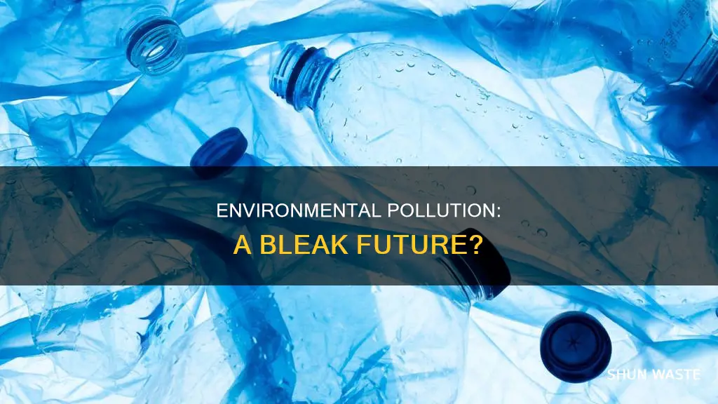 what is the conclusion of environmental pollution