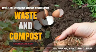 Biodegradable Waste and Compost: A Sustainable Connection Explained