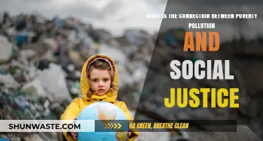 Poverty, Pollution, and Social Justice: An Interconnected Crisis