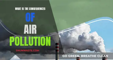 Air Pollution: Understanding the Dire Consequences