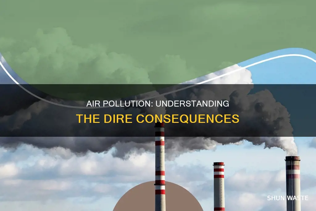 what is the consequences of air pollution