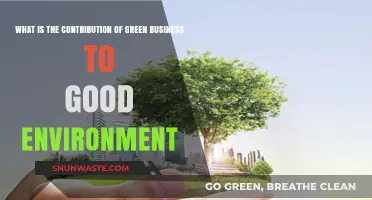 Green Business: Driving Sustainable Change for a Healthier Planet