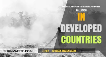 Pollution's Global Impact: Rich Nations' Responsibility