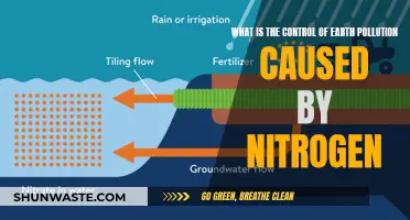 Understanding Nitrogen's Role in Earth's Pollution Control