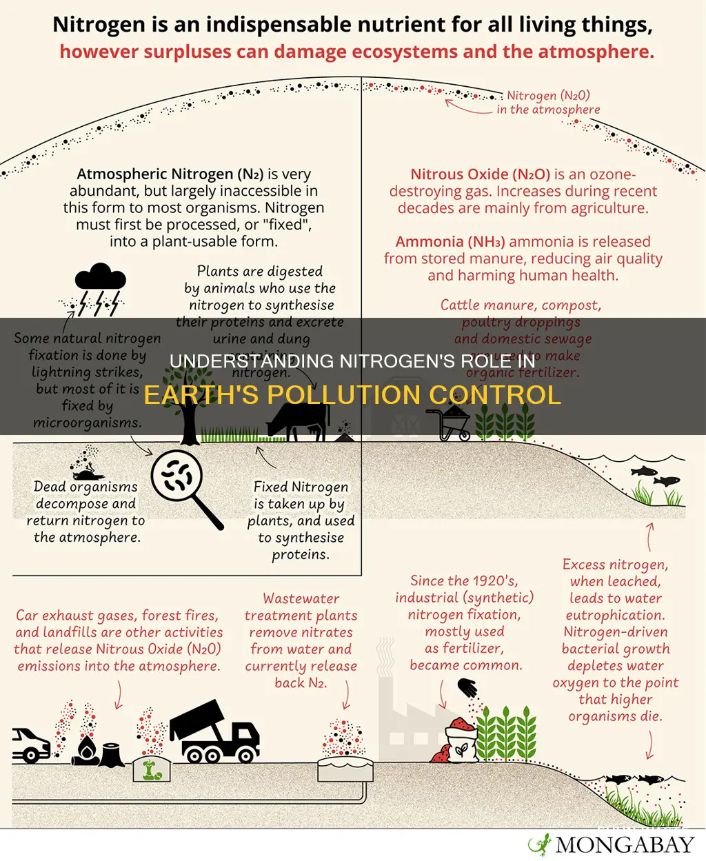 what is the control of earth pollution caused by nitrogen