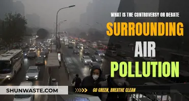 Air Pollution: Controversy and Health Impact