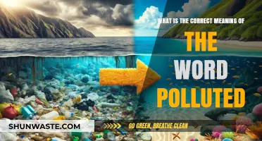 Understanding the True Meaning of 'Polluted