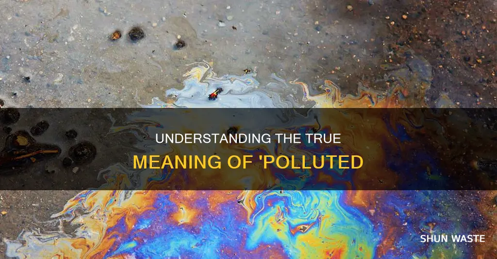 what is the correct meaning of the word polluted
