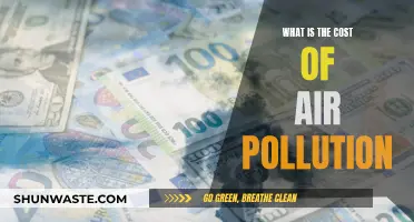 Air Pollution: A Costly Affair for Our Planet
