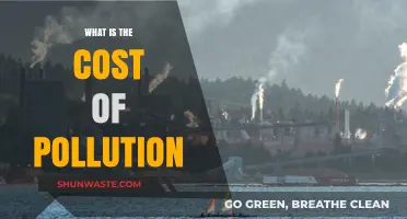Pollution's Cost: A Global Health Crisis