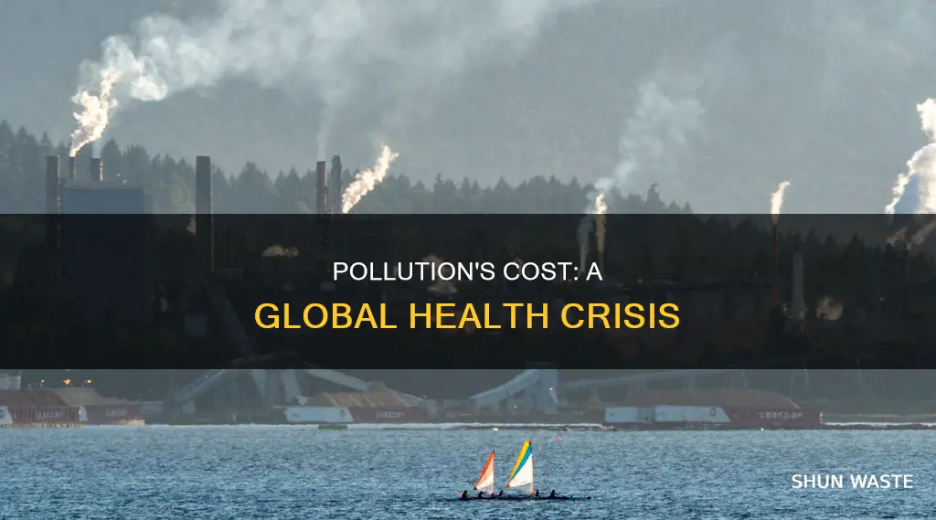 what is the cost of pollution