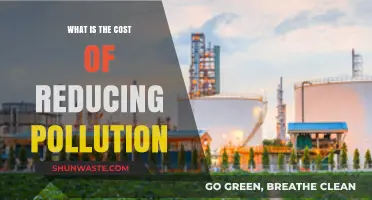 The True Cost of Pollution: What's the Price of Clean Air?