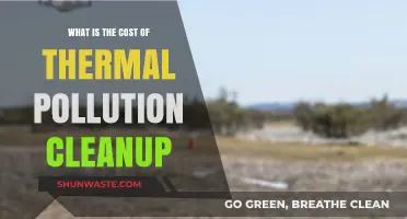 Thermal Pollution Cleanup: What's the Cost?