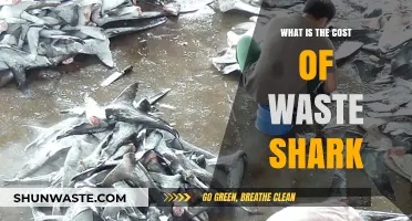 The Hidden Cost of Waste Sharks: Environmental and Economic Impact