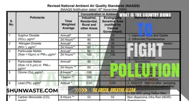 Strategies and Actions to Combat Pollution Countrywide