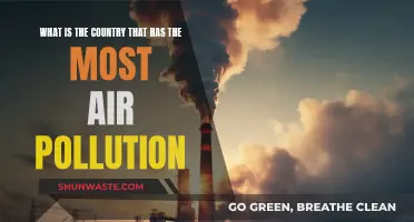Air Pollution: Which Country Suffers the Most?