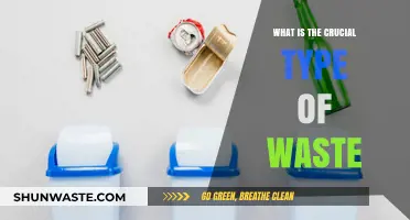 Identifying the Most Crucial Type of Waste for a Sustainable Future
