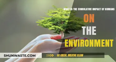 Human Footprint: Unraveling Our Cumulative Impact on the Environment