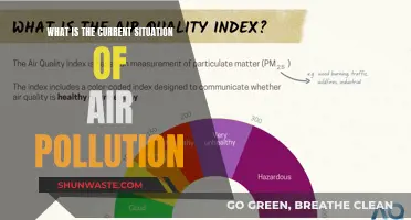 Air Pollution: A Global Crisis and its Solutions