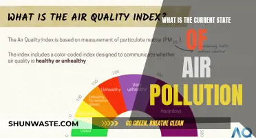 Air Pollution: Current State of Our Air