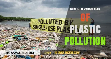 Plastic Pollution: A Global Crisis