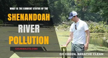 Shenandoah River Pollution: Current Status and Future Outlook